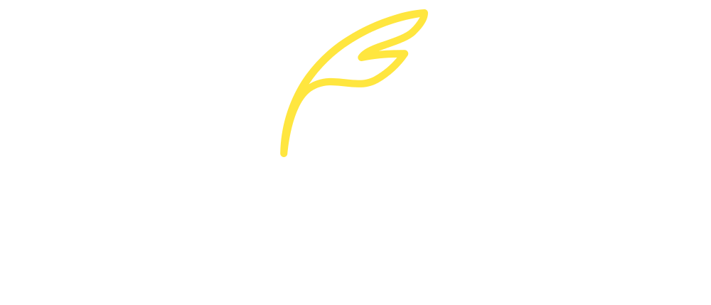 novelty watches logo